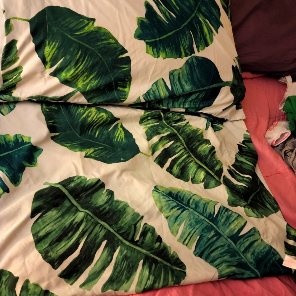 VS PINK PILLOWS(2)